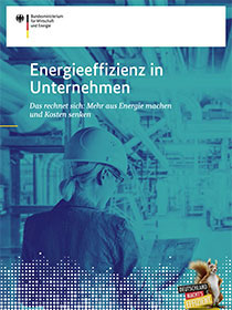 Cover der Publikation "Energieeffizienz in Unternehmen"